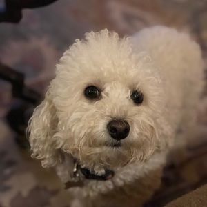 Meet your Posher, Katherine